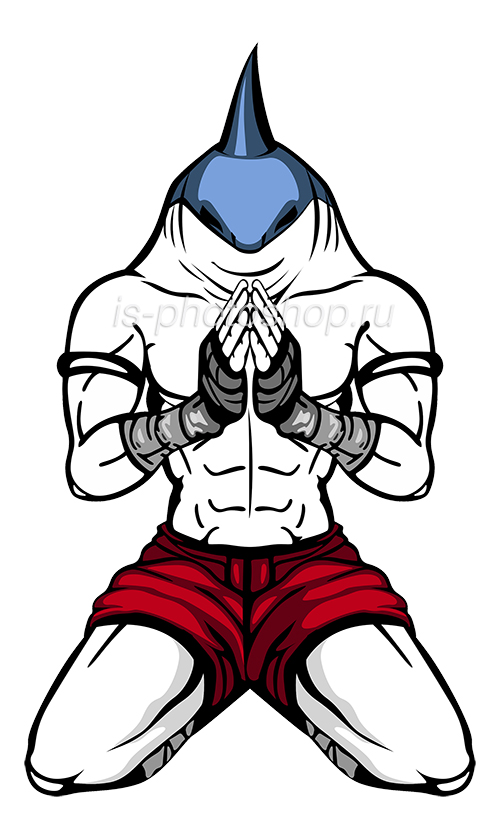 Персонаж для клуба тайского бокса `Акула`.