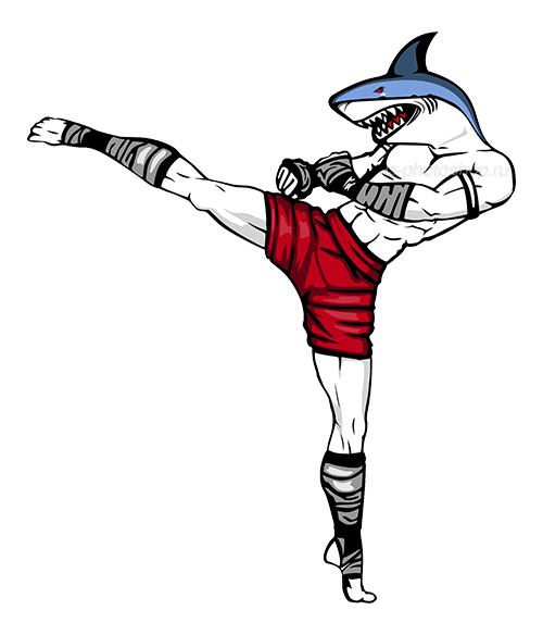 Персонаж для клуба тайского бокса `Акула`.